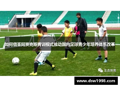 如何借鉴阿贾克斯青训模式推动国内足球青少年培养体系改革